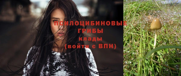 прущая мука Алексеевка