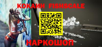 прущие грибы Абакан