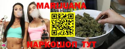 прущие грибы Абакан