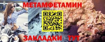 прущие грибы Абакан