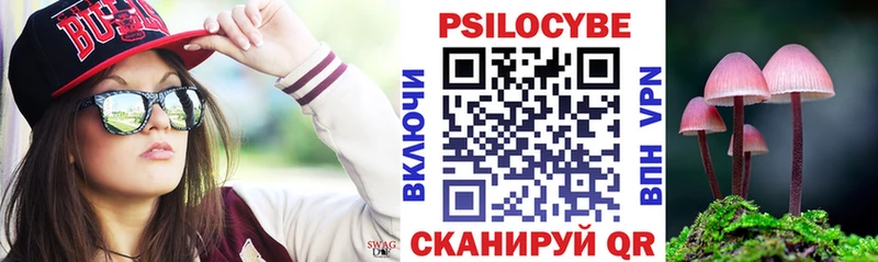 Галлюциногенные грибы Psilocybe  купить закладку  Апрелевка 