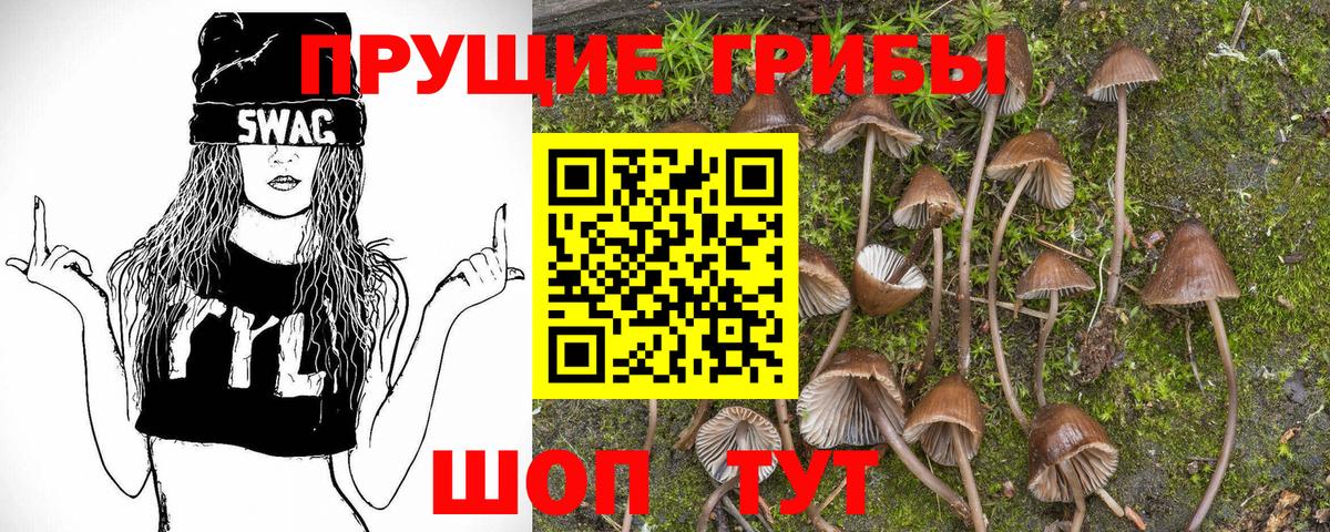 Апрелевка  Псилоцибиновые грибы GOLDEN TEACHER  Вход с VPN  Галлюциногенные грибы мухоморы 